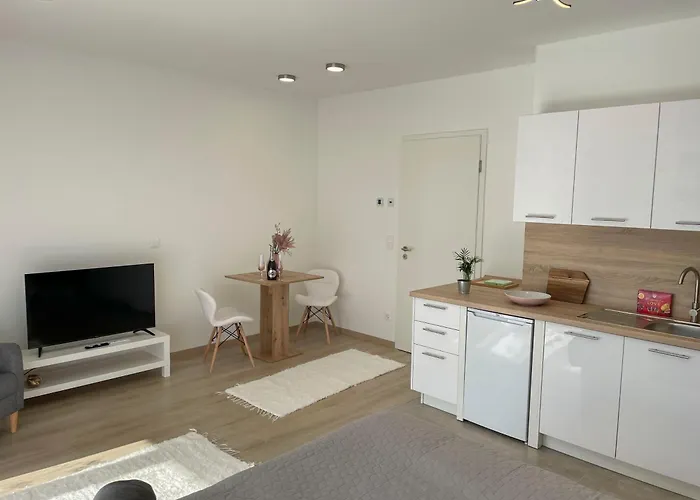 Bright Riverside Studio, Balcony, Free Parking, Air Conditioning * بودابست