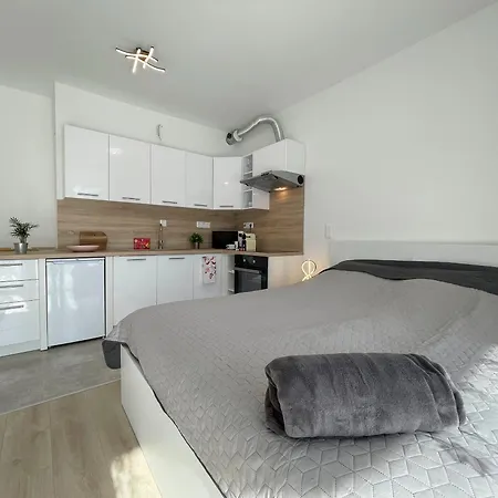 Lejlighed Bright Riverside Studio, Balcony, Free Parking, Air Conditioning Budapest